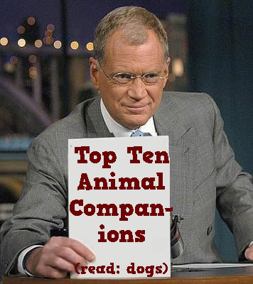 Top Ten Animal Companions (read: dogs)